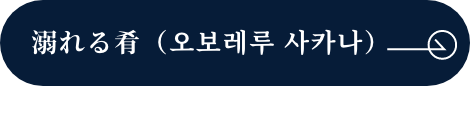 溺れる肴（오보레루 사카나）